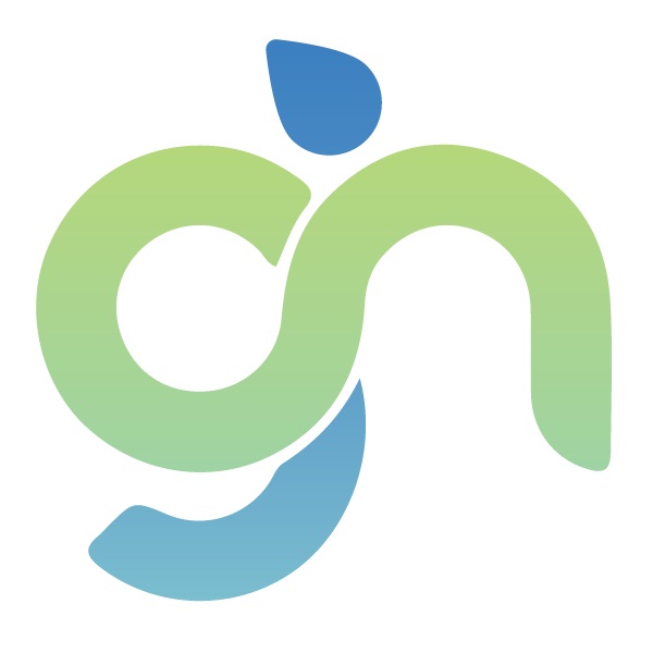 Ginfotech